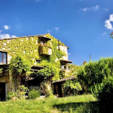 Gasthaus Podere Patrignone Castellina in Chianti Exterior foto